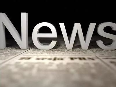 What Do Pets Look Like With Accessories?